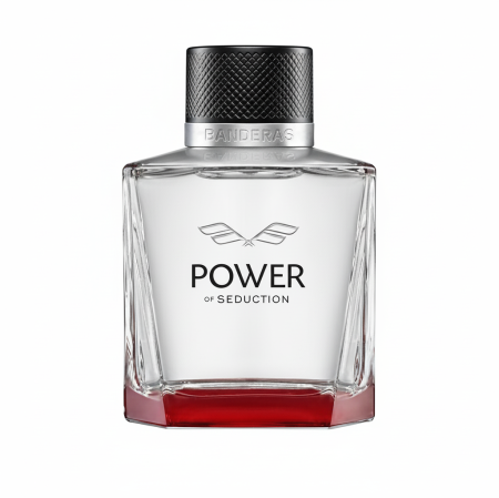 POWER OF SEDUCTION 