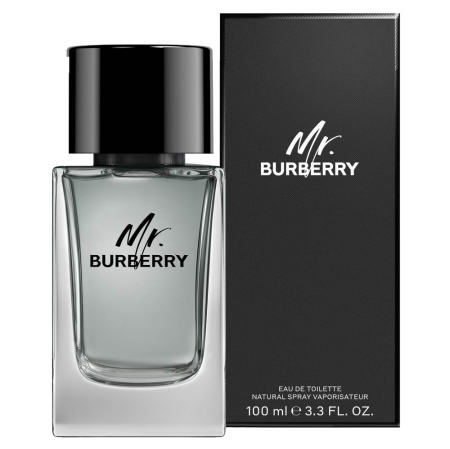 MR.BURBERRY EDT 